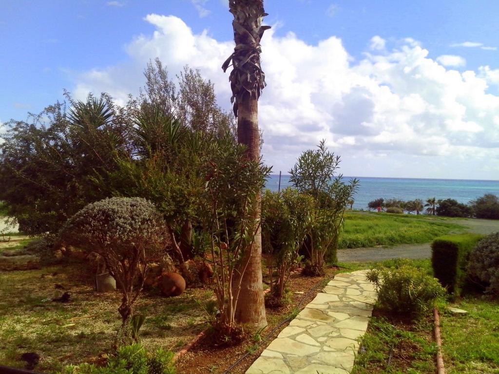 Yialos Apartments Pissouri Oda fotoğraf